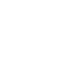 pdf icon